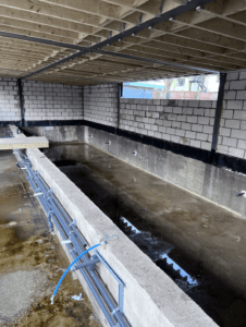 Screenshot 2025 01 26 at 12.14.58 pm